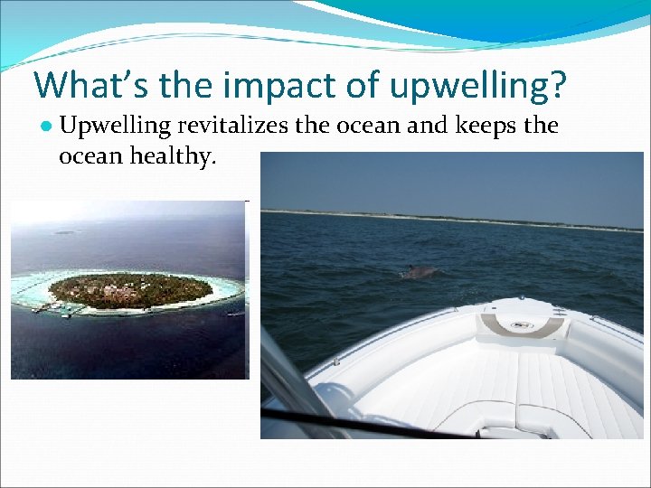 What’s the impact of upwelling? ● Upwelling revitalizes the ocean and keeps the ocean