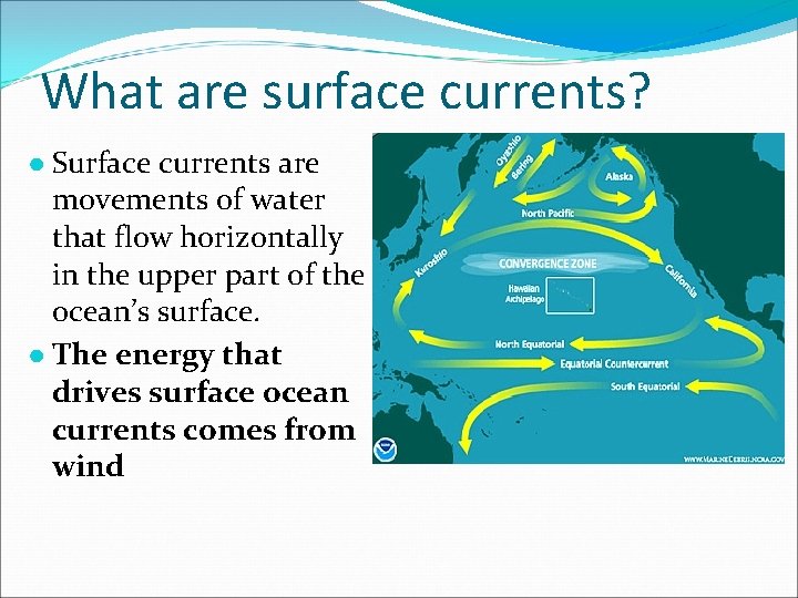 What are surface currents? ● Surface currents are movements of water that flow horizontally