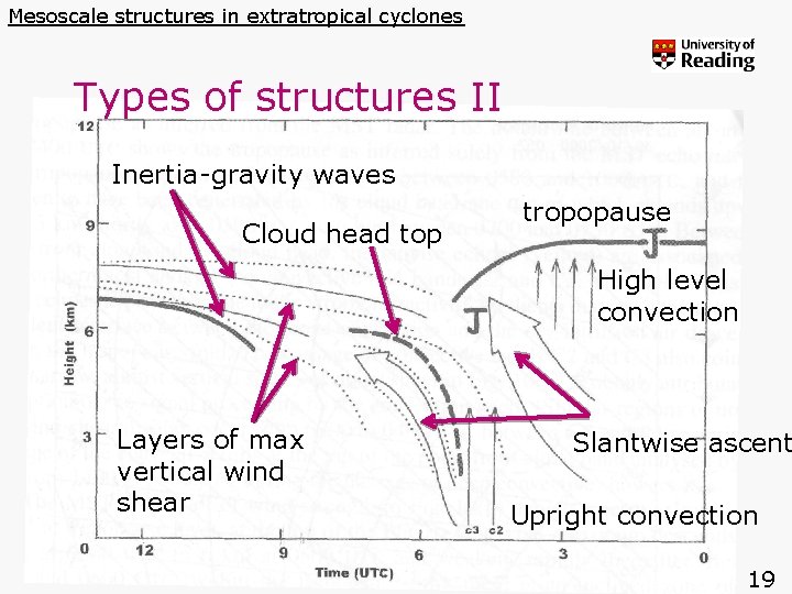 Mesoscale structures in extratropical cyclones Types of structures II Inertia-gravity waves Cloud head top