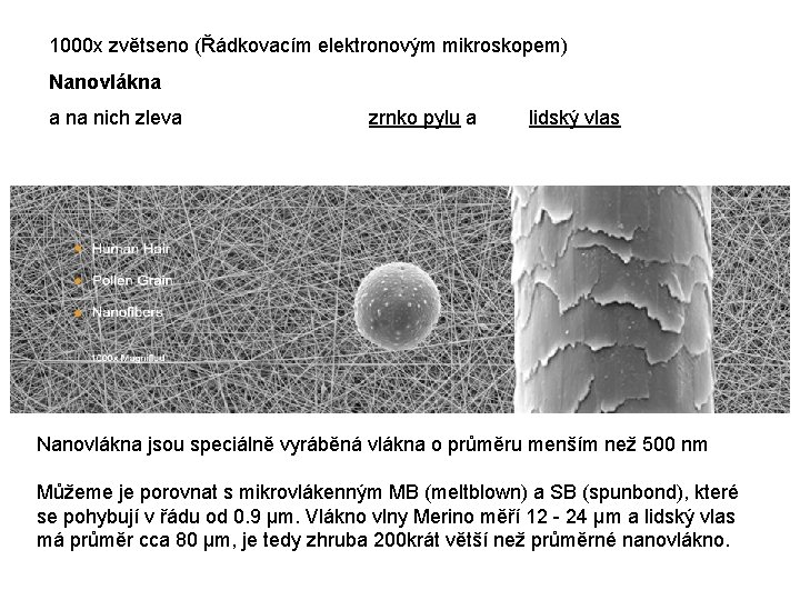 1000 x zvětseno (Řádkovacím elektronovým mikroskopem) Nanovlákna a na nich zleva zrnko pylu a