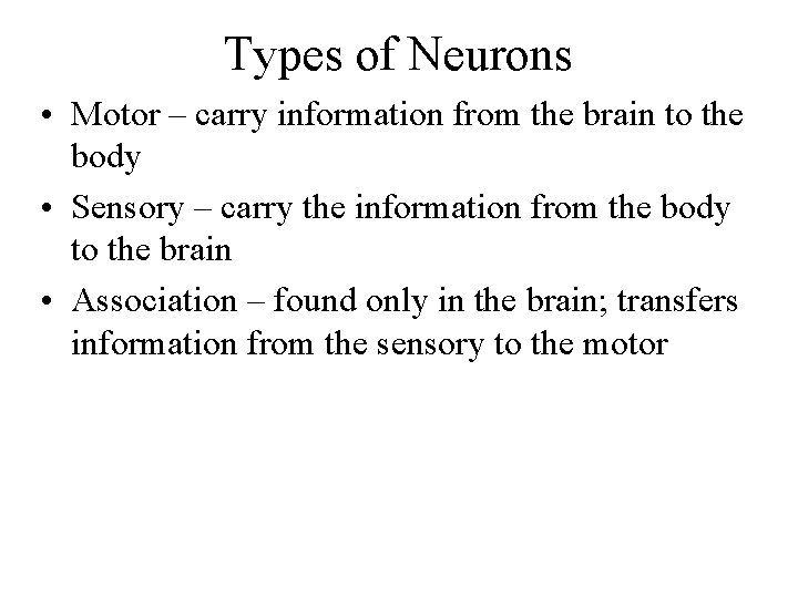 Types of Neurons • Motor – carry information from the brain to the body
