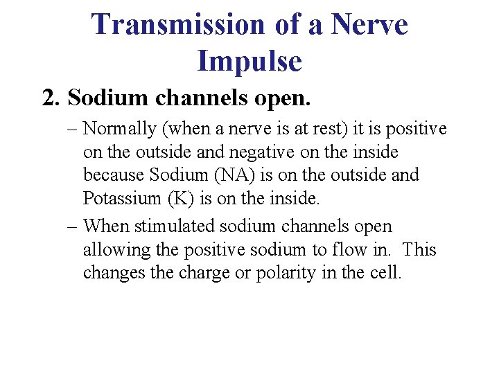 Transmission of a Nerve Impulse 2. Sodium channels open. – Normally (when a nerve