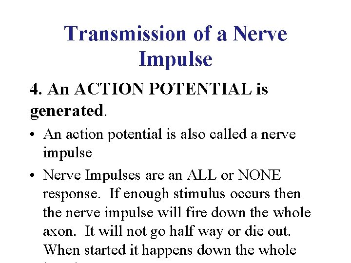 Transmission of a Nerve Impulse 4. An ACTION POTENTIAL is generated. • An action