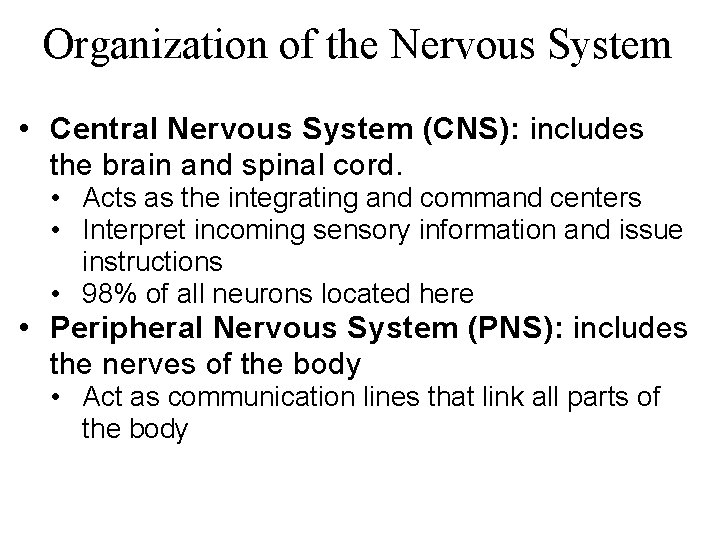 Organization of the Nervous System • Central Nervous System (CNS): includes the brain and