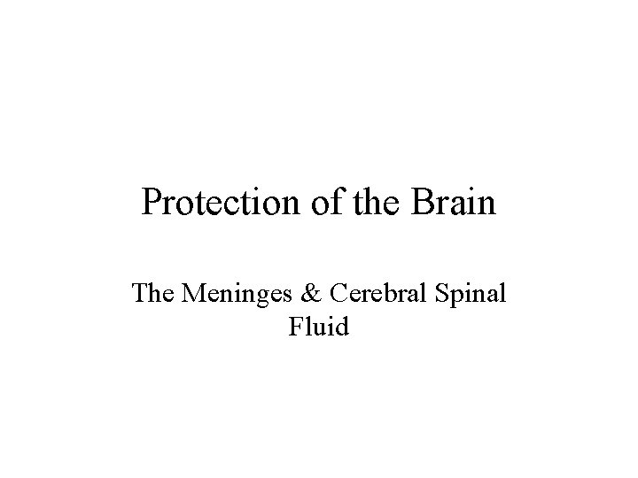 Protection of the Brain The Meninges & Cerebral Spinal Fluid 