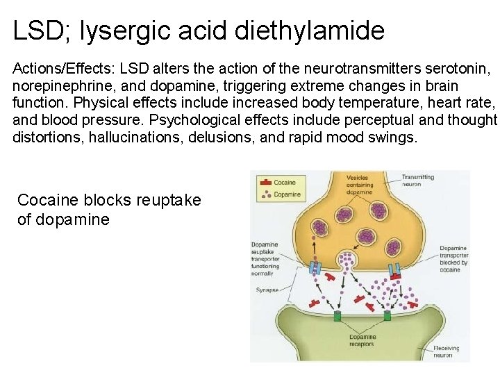 LSD; lysergic acid diethylamide Actions/Effects: LSD alters the action of the neurotransmitters serotonin, norepinephrine,