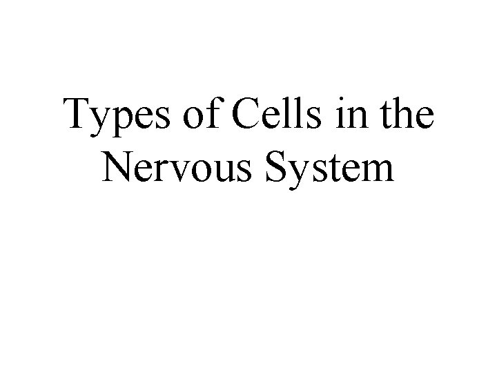 Types of Cells in the Nervous System 