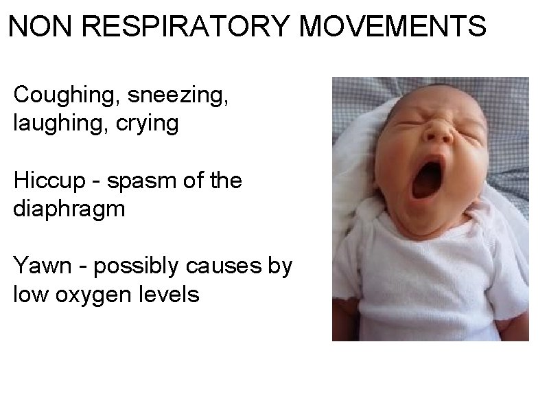 NON RESPIRATORY MOVEMENTS Coughing, sneezing, laughing, crying Hiccup - spasm of the diaphragm Yawn