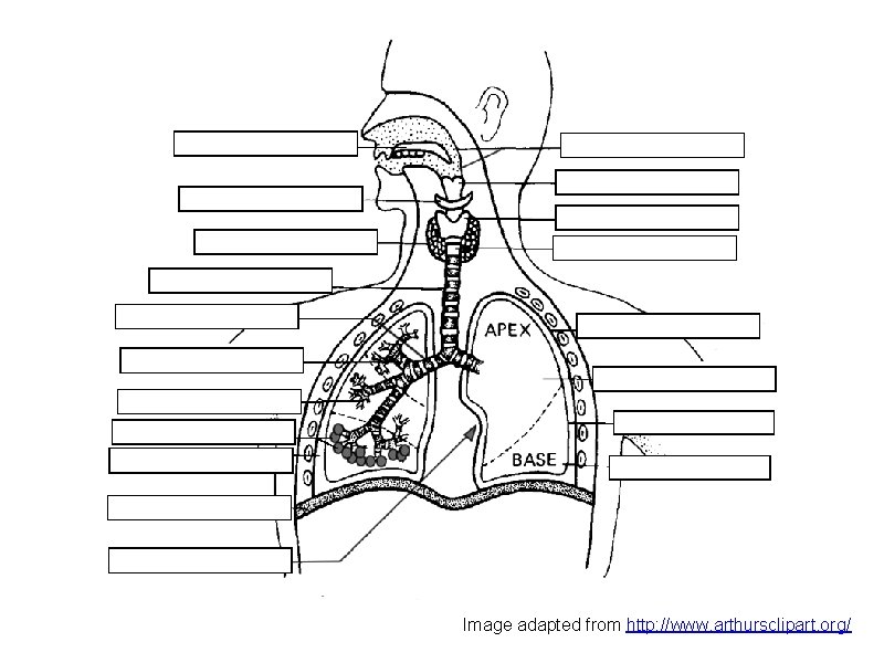 Image adapted from http: //www. arthursclipart. org/ 