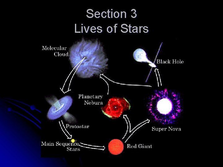 Section 3 Lives of Stars 