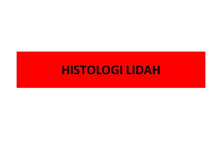 HISTOLOGI LIDAH 