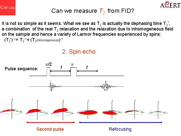 Can we measure T 2 from FID? It is not so simple as it