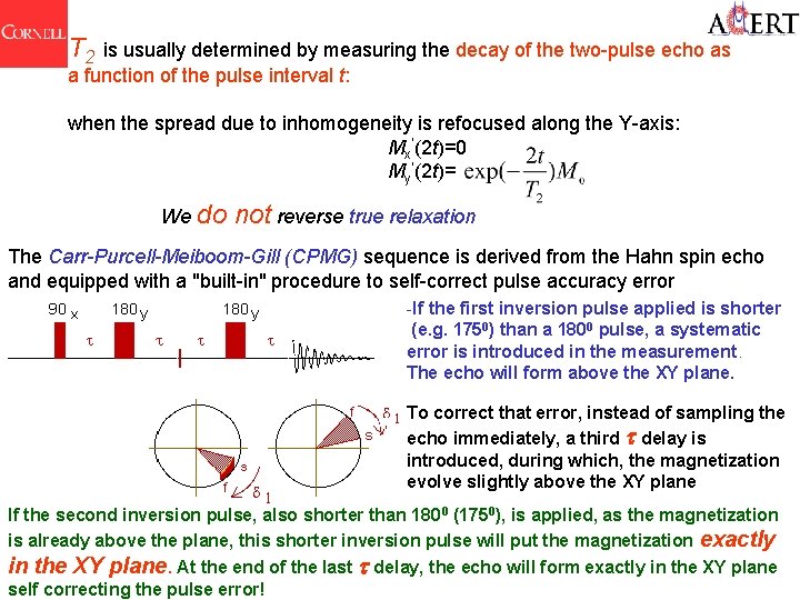 T 2 is usually determined by measuring the decay of the two-pulse echo as