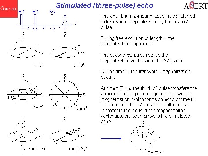Stimulated (three-pulse) echo The equilibrium Z-magnetization is transferred to transverse magnetization by the first