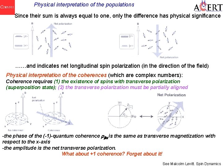 Physical interpretation of the populations Since their sum is always equal to one, only