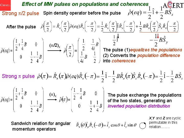 Effect of MW pulses on populations and coherences Strong /2 pulse Spin density operator