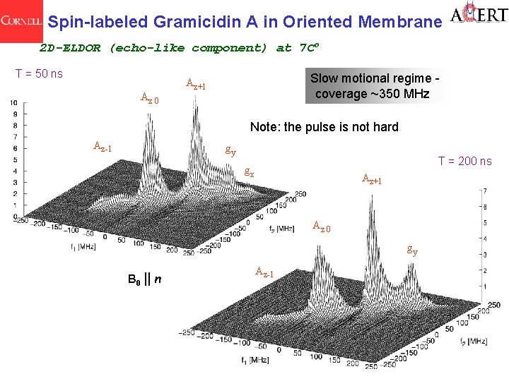 Spin-labeled Gramicidin A in Oriented Membrane 2 D-ELDOR (echo-like component) at 7 Co T