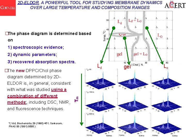 2 D-ELDOR, A POWERFUL TOOL FOR STUDYING MEMBRANE DYNAMICS OVER LARGE TEMPERATURE AND COMPOSITION