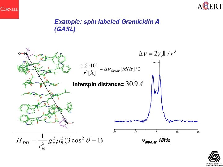 Example: spin labeled Gramicidin A (GASL) Interspin distance= ndipolar, MHz, 