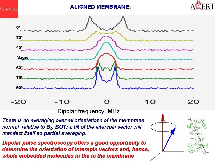 ALIGNED MEMBRANE: 0 30 45 Magic 60 75 90 Dipolar frequency, MHz There is