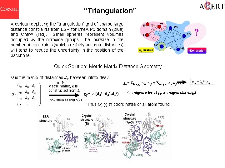 “Triangulation” A cartoon depicting the “triangulation” grid of sparse large distance constraints from ESR