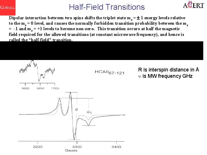 Half-Field Transitions Dipolar interaction between two spins shifts the triplet state ms = 1