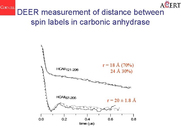 DEER measurement of distance between spin labels in carbonic anhydrase r = 18 Å