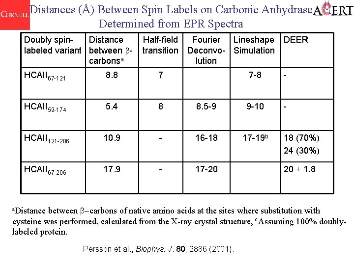 Distances (Å) Between Spin Labels on Carbonic Anhydrase Determined from EPR Spectra Doubly spin.