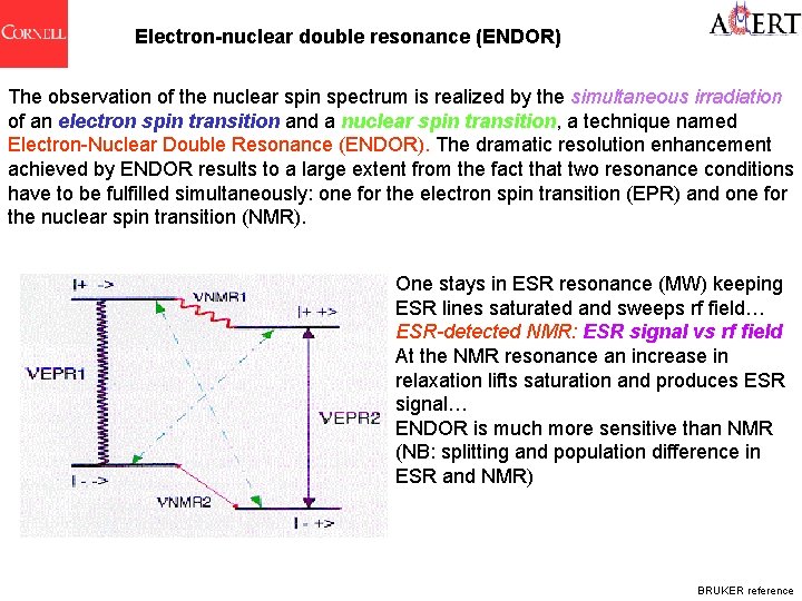 Electron-nuclear double resonance (ENDOR) The observation of the nuclear spin spectrum is realized by