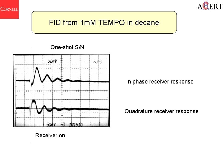 FID from 1 m. M TEMPO in decane One-shot S/N In phase receiver response