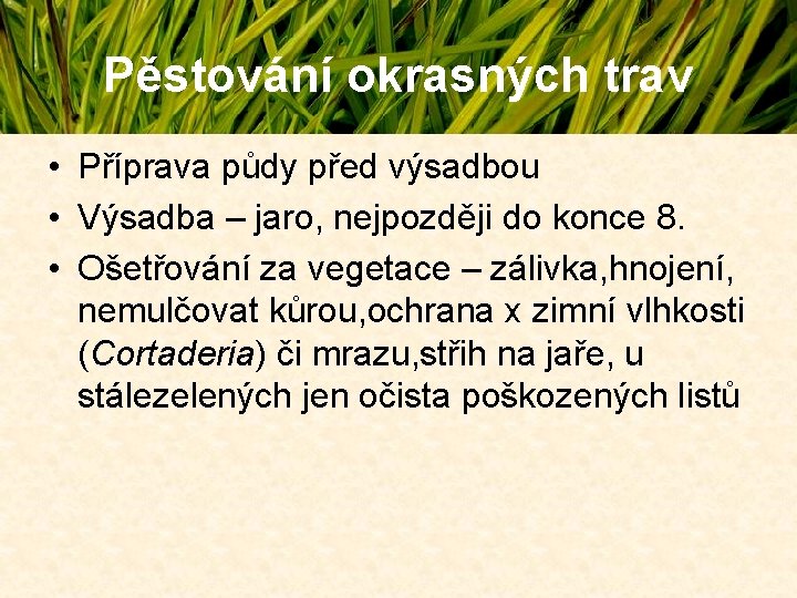 Pěstování okrasných trav • Příprava půdy před výsadbou • Výsadba – jaro, nejpozději do Pěstování okrasných trav • Příprava půdy před výsadbou • Výsadba – jaro, nejpozději do