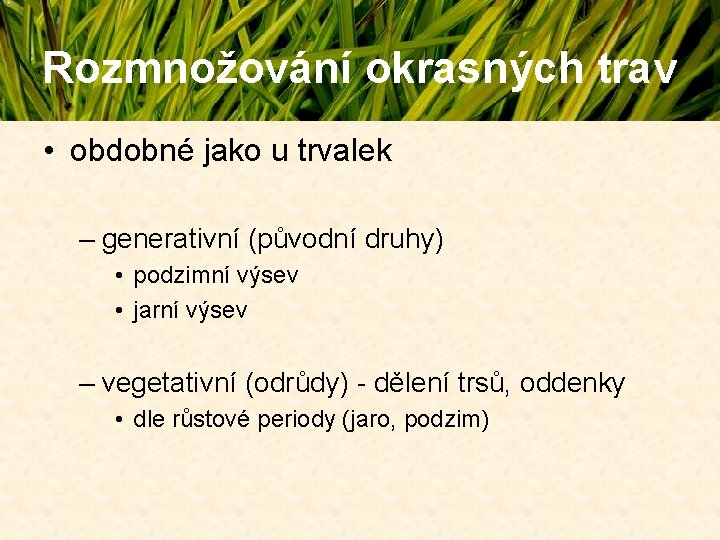 Rozmnožování okrasných trav • obdobné jako u trvalek – generativní (původní druhy) • podzimní Rozmnožování okrasných trav • obdobné jako u trvalek – generativní (původní druhy) • podzimní