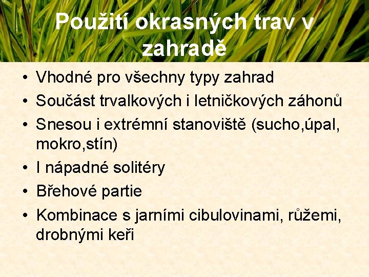 Použití okrasných trav v zahradě • Vhodné pro všechny typy zahrad • Součást trvalkových Použití okrasných trav v zahradě • Vhodné pro všechny typy zahrad • Součást trvalkových