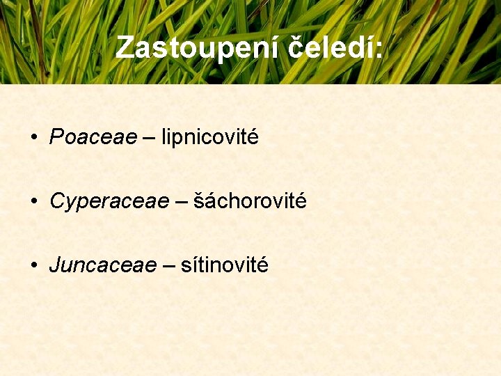 Zastoupení čeledí: • Poaceae – lipnicovité • Cyperaceae – šáchorovité • Juncaceae – sítinovité Zastoupení čeledí: • Poaceae – lipnicovité • Cyperaceae – šáchorovité • Juncaceae – sítinovité