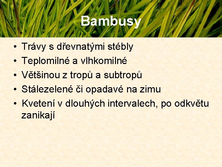 Bambusy • • • Trávy s dřevnatými stébly Teplomilné a vlhkomilné Většinou z tropů Bambusy • • • Trávy s dřevnatými stébly Teplomilné a vlhkomilné Většinou z tropů