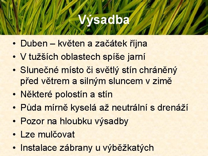 Výsadba • Duben – květen a začátek října • V tužších oblastech spíše jarní Výsadba • Duben – květen a začátek října • V tužších oblastech spíše jarní