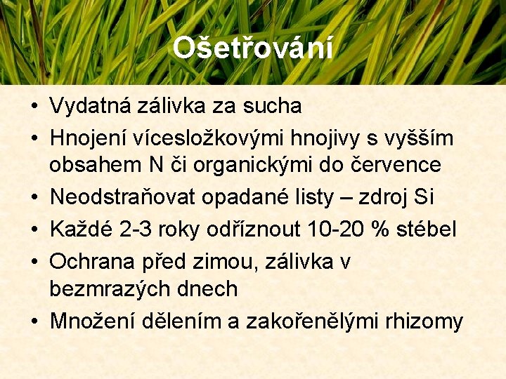 Ošetřování • Vydatná zálivka za sucha • Hnojení vícesložkovými hnojivy s vyšším obsahem N Ošetřování • Vydatná zálivka za sucha • Hnojení vícesložkovými hnojivy s vyšším obsahem N