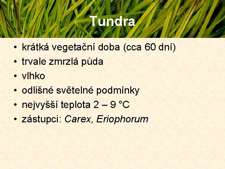 Tundra • • • krátká vegetační doba (cca 60 dní) trvale zmrzlá půda vlhko Tundra • • • krátká vegetační doba (cca 60 dní) trvale zmrzlá půda vlhko
