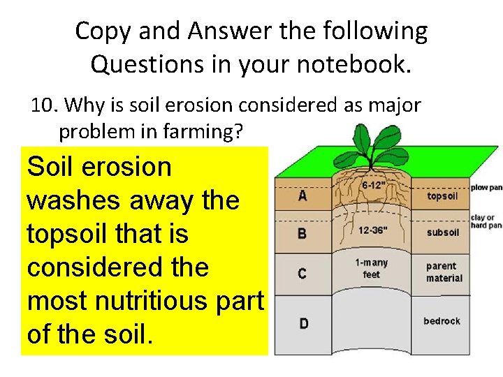 Copy and Answer the following Questions in your notebook. 10. Why is soil erosion