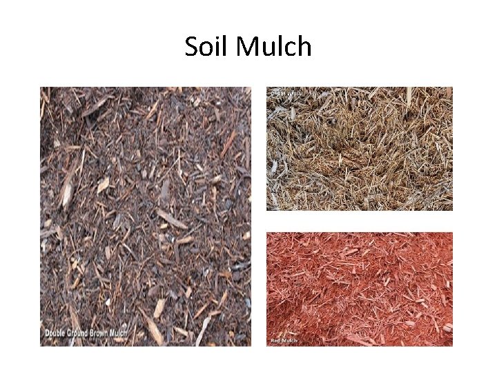 Soil Mulch 