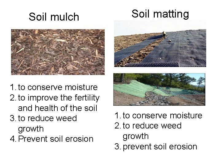 Soil mulch 1. to conserve moisture 2. to improve the fertility and health of