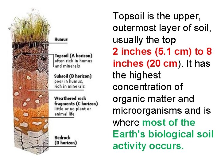 Topsoil is the upper, outermost layer of soil, usually the top 2 inches (5.