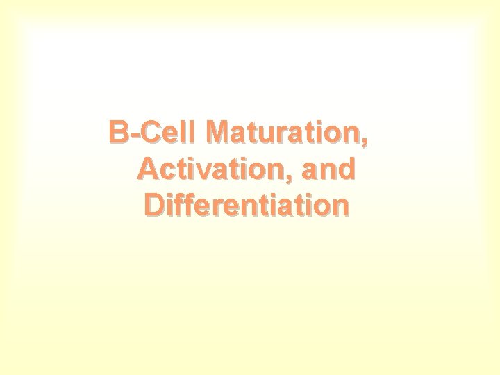 B-Cell Maturation, Activation, and Differentiation 