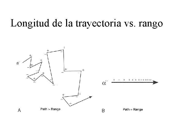 Longitud de la trayectoria vs. rango 