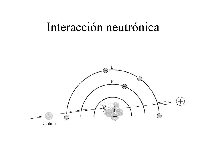 Interacción neutrónica 