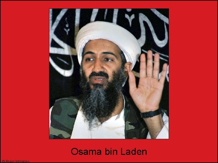 Osama bin Laden © Brain Wrinkles 