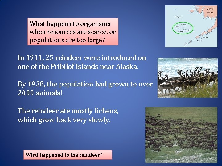 What happens to organisms when resources are scarce, or populations are too large? In