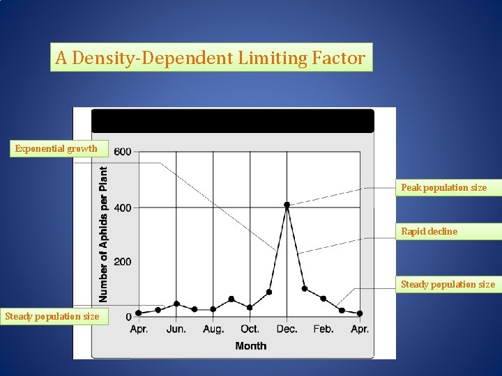 A Density-Dependent Limiting Factor Exponential growth Peak population size Rapid decline Steady population size