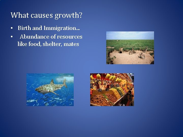 What causes growth? • Birth and Immigration. . . • Abundance of resources like