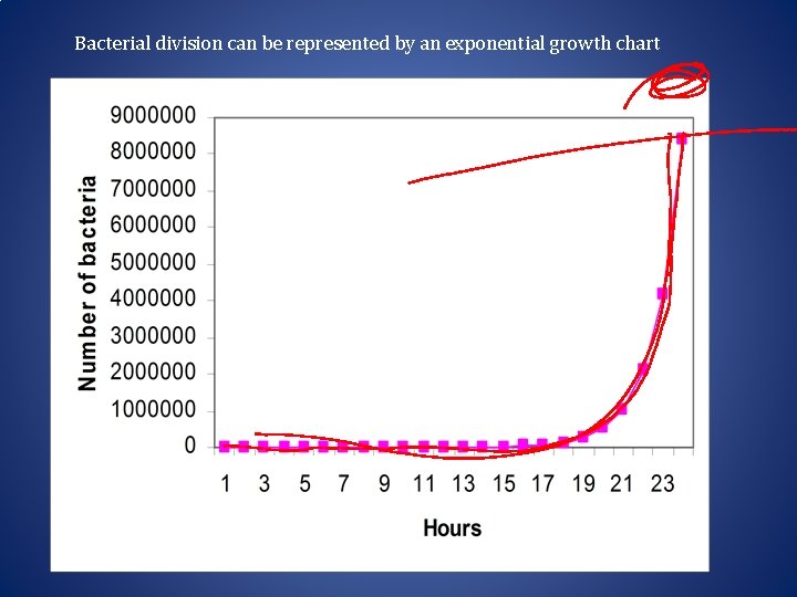 Bacterial division can be represented by an exponential growth chart Exponential Growth Chart 